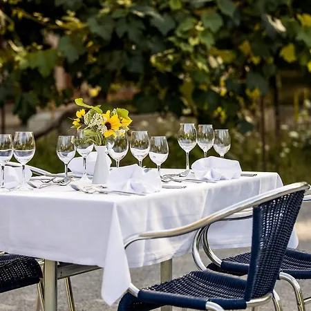 Odelya - Stadthotel Im Park מלון