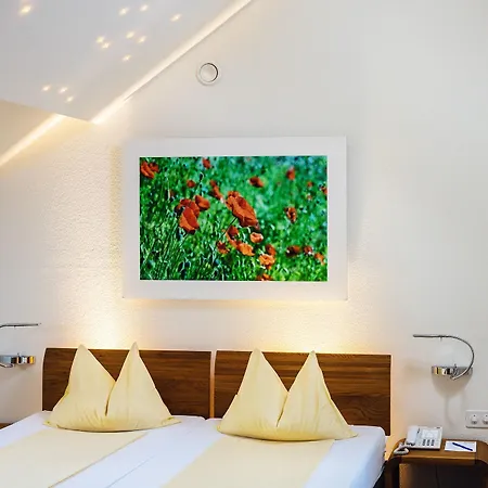 Odelya - Stadthotel Im Park מלון 3*