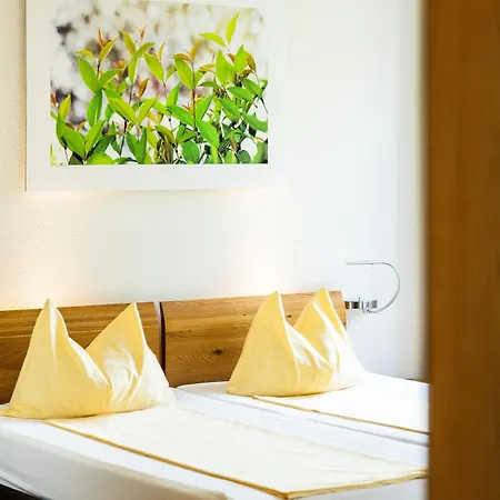 מלון Odelya - Stadthotel Im Park 3*