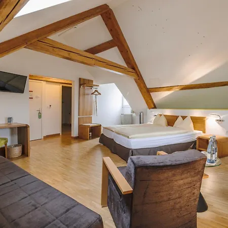 Odelya - Stadthotel Im Park מלון 3*