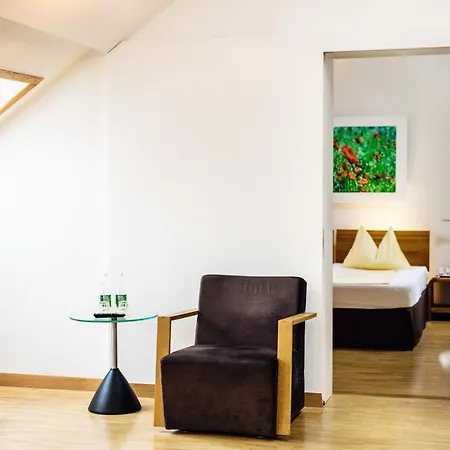 Odelya - Stadthotel Im Park 3* Basilea