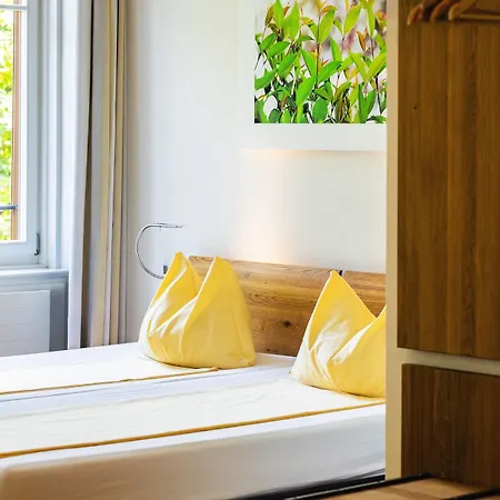 Odelya - Stadthotel Im Park 3* Basilea