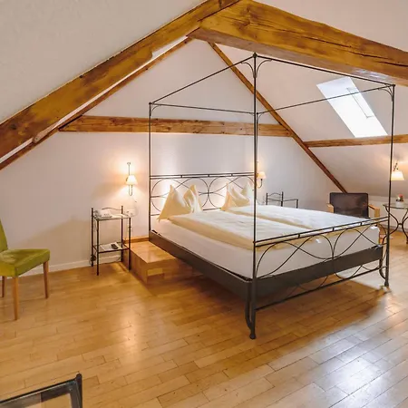 Hotel Odelya - Stadthotel Im Park Basilea