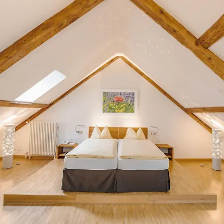 Odelya - Stadthotel Im Park Basilea