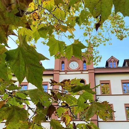 Hotel Odelya - Stadthotel Im Park 3*
