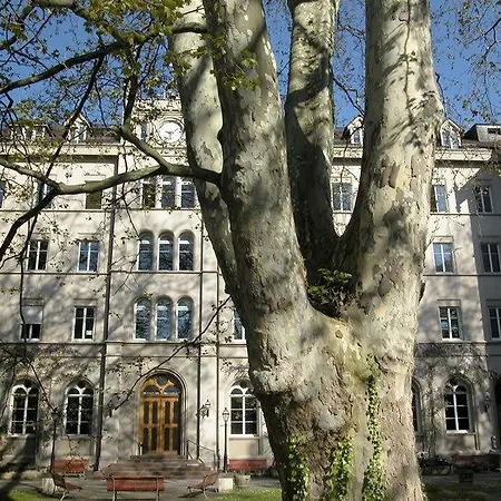 Hotel Odelya - Stadthotel Im Park
