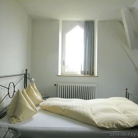 Odelya - Stadthotel Im Park 3* Basilea