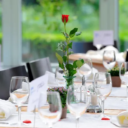 Hotel Odelya - Stadthotel Im Park