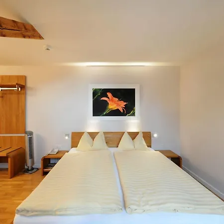 Odelya - Stadthotel Im Park Hotel 3*